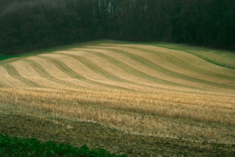 Streepjeslandschap 2