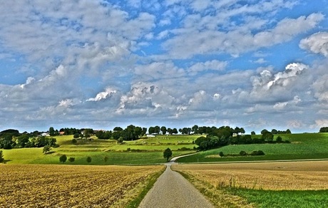 Limburgs landschap