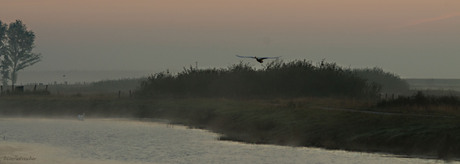 In het vroege ochtendgloren