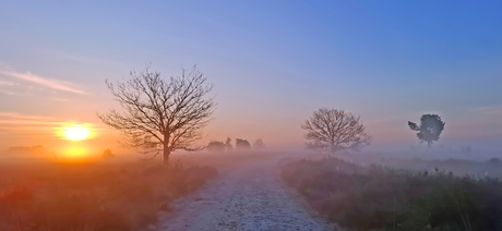 Goodmorning Sunshine