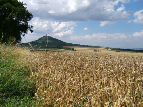 Berg met ruine