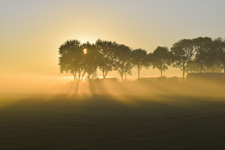 Gouden herfst ochtend