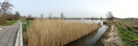 P1300284   SNEL Panorama   De Lier Kraaien nest  gebied  GROTE  Plas  6 mrt 2026 