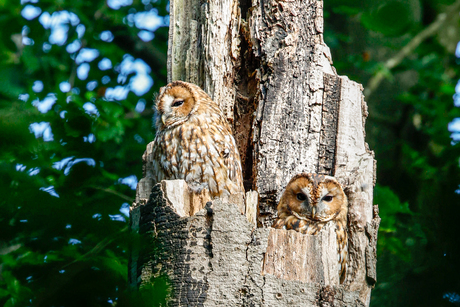 Gezellig samen 