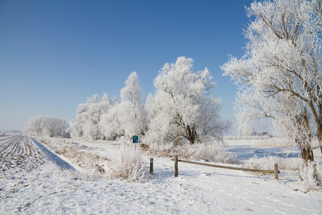 Winter in Moerdijk 2