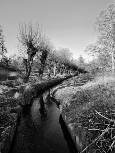 Natuurlaantje