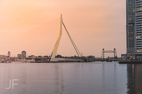 Erasmusbrug Rotterdam