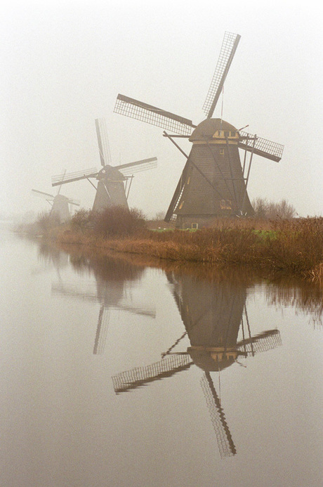 Molens in de mist