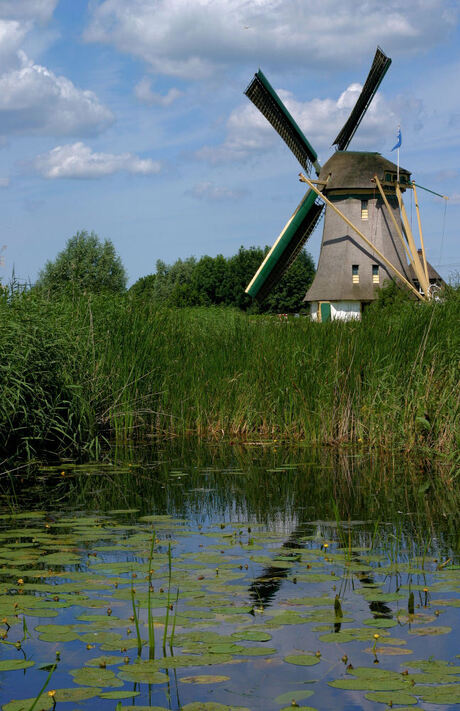 Molen de onrust