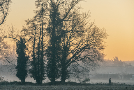 wandelaar in de mist