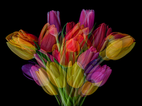 Voorjaar in beweging