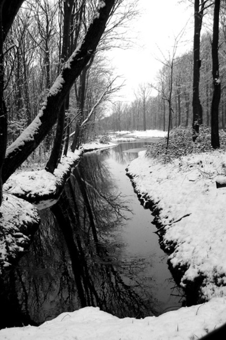 Winters Texel, maart 2005