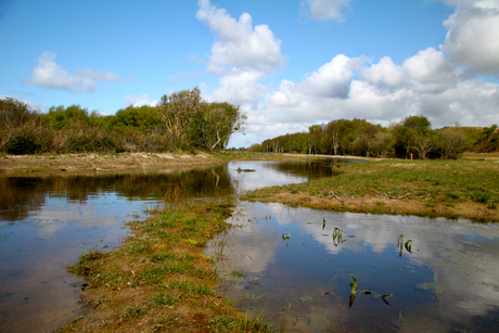 Texel