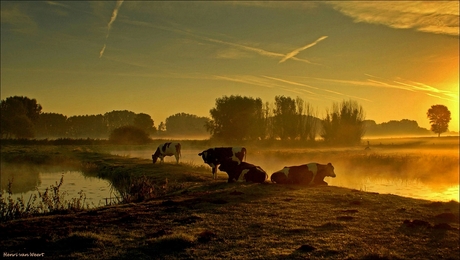 Nog maar net wakker