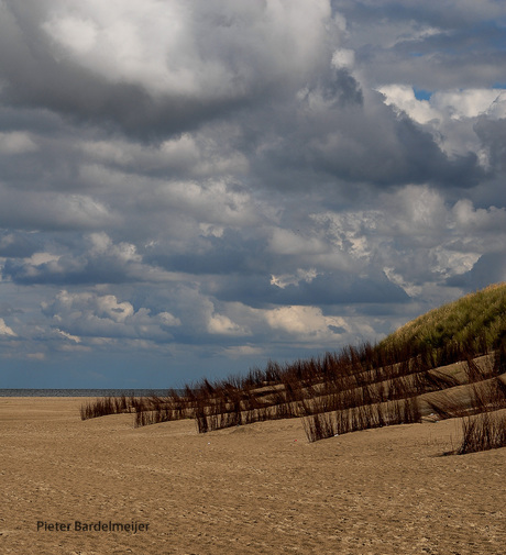 texel duinen