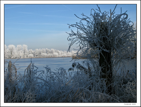 Winterlandschap in 't Weegje (4)