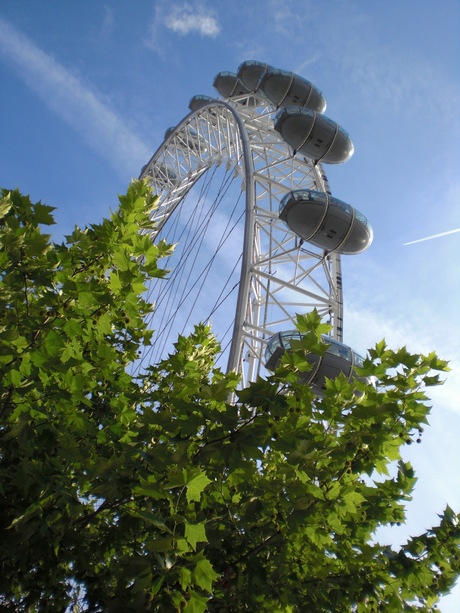 de londen eye