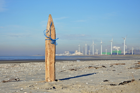 strikje op het strand