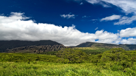 Kipahulu Forest Reserve, Maui, HI