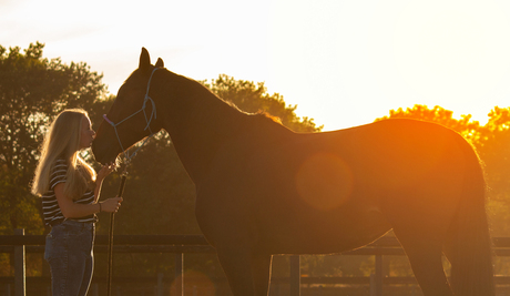 Paard en meisje bij zonsondergang