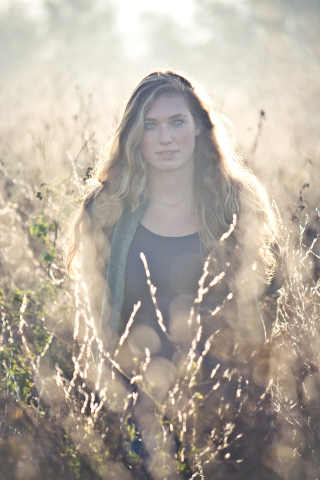 Lion in the morning sun