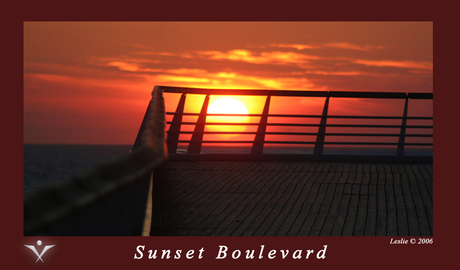 Sunset boulevard