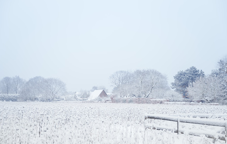 Verstild wit dorpszicht Laren