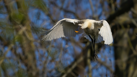 Ik kom eraan schat..