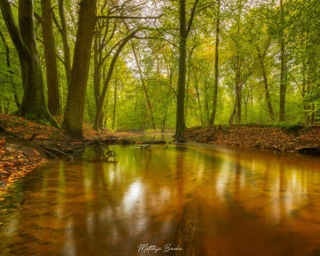 Herfst langs de beek