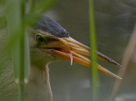 close up