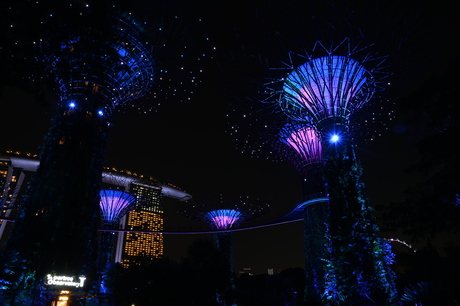 Lightshow Garden By The Bay