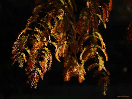 Zon licht de boel op...