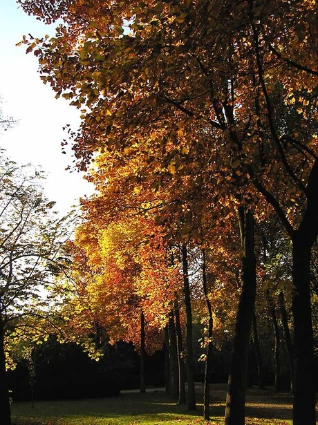 Herfst/Autum 2005