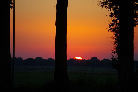 Zonsondergang bij de bosrand