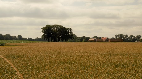 Bauernhof