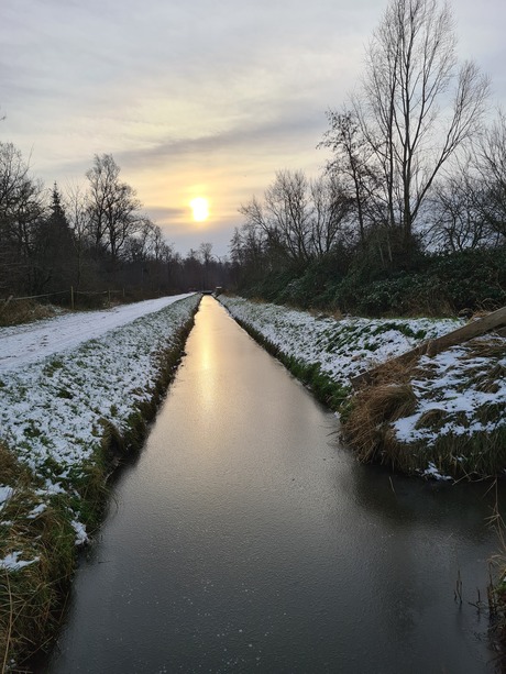 Mooie ochtend in het bos