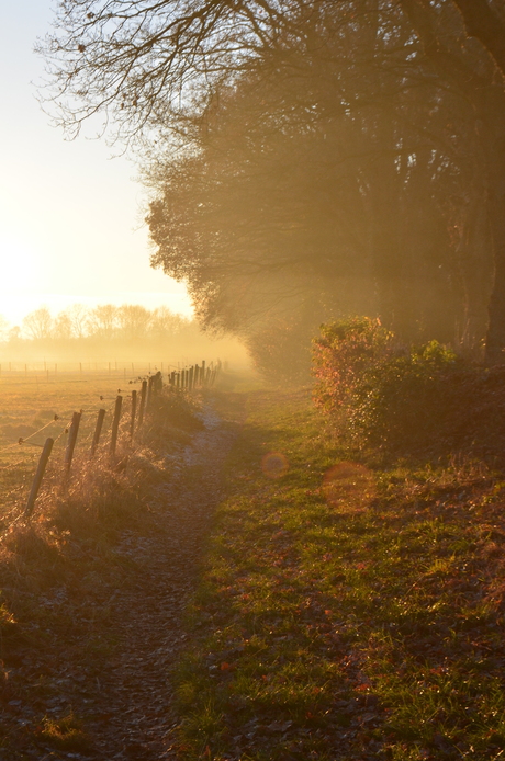 Natuur in Zuidlaren