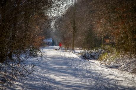 Winter in het Gagelbos