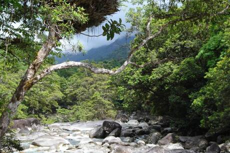 10256862_655364721197445_8510255376774382485_o