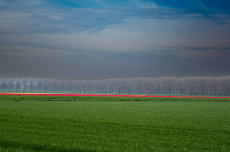 Lente