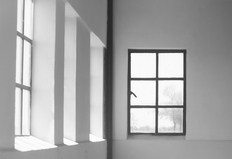 Frieslandfotografie_windows.jpg