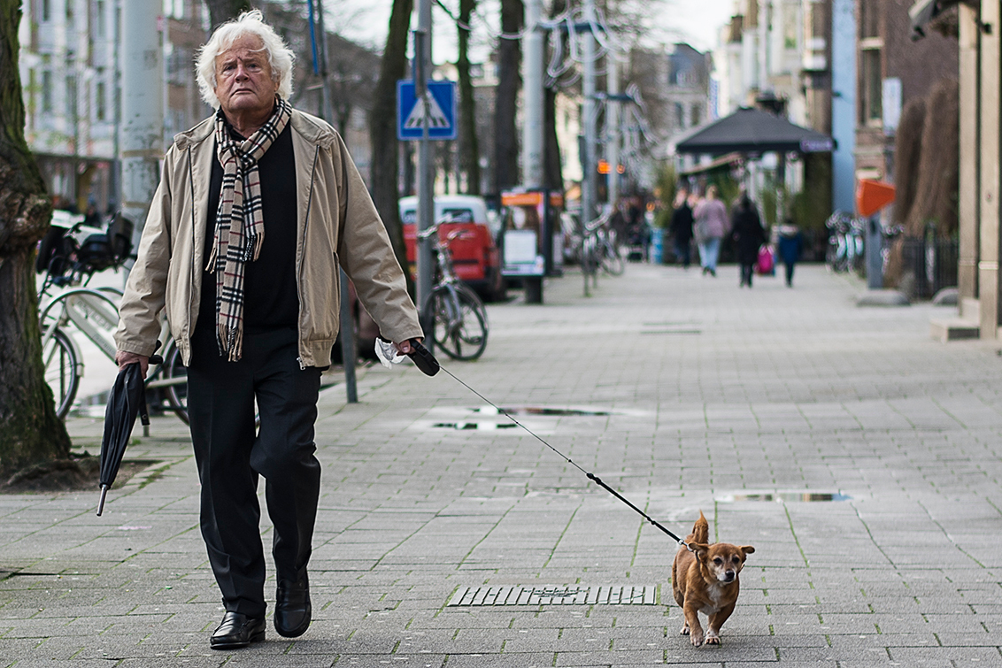 Beperking ontploffing Verdraaiing man, hond en Burberry sjaal - foto van karindevries57 - Straat - Zoom.nl