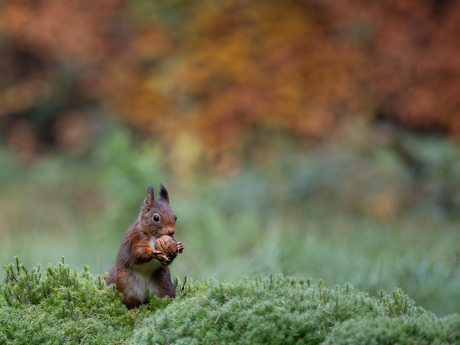In alle rust genieten