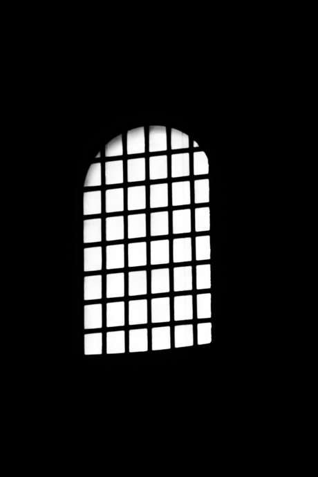 the Window