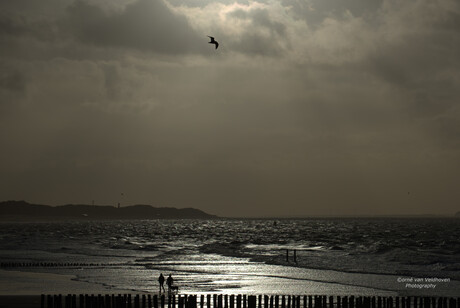 Winter aan zee