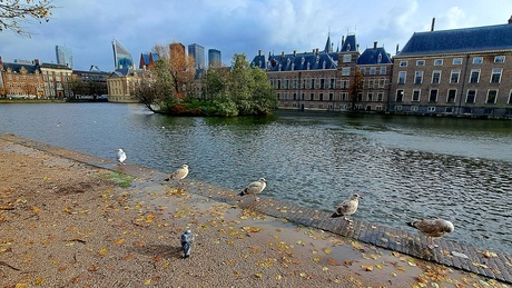 Binnenhof