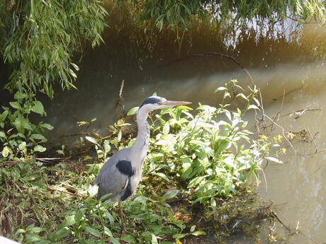 Op een onbewoond eiland....