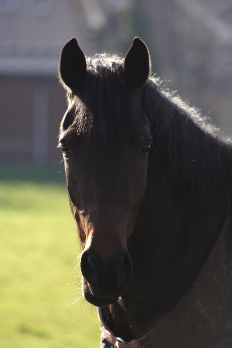 Wat hoor ik daar????