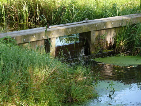 waterbeheer in een notendop