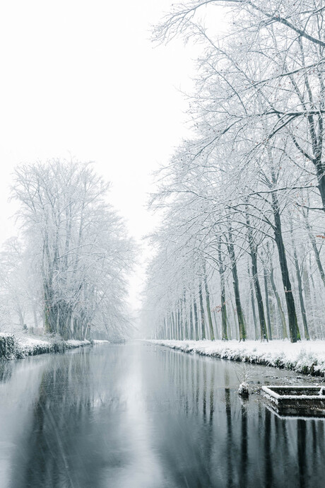 Hevige sneeuwval in januari, winters weer
